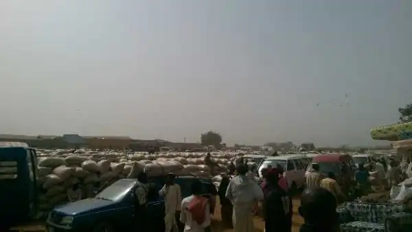 Photos From Giwa Farmers Market In Kaduna Prove Nigeria Is blessed In Agric